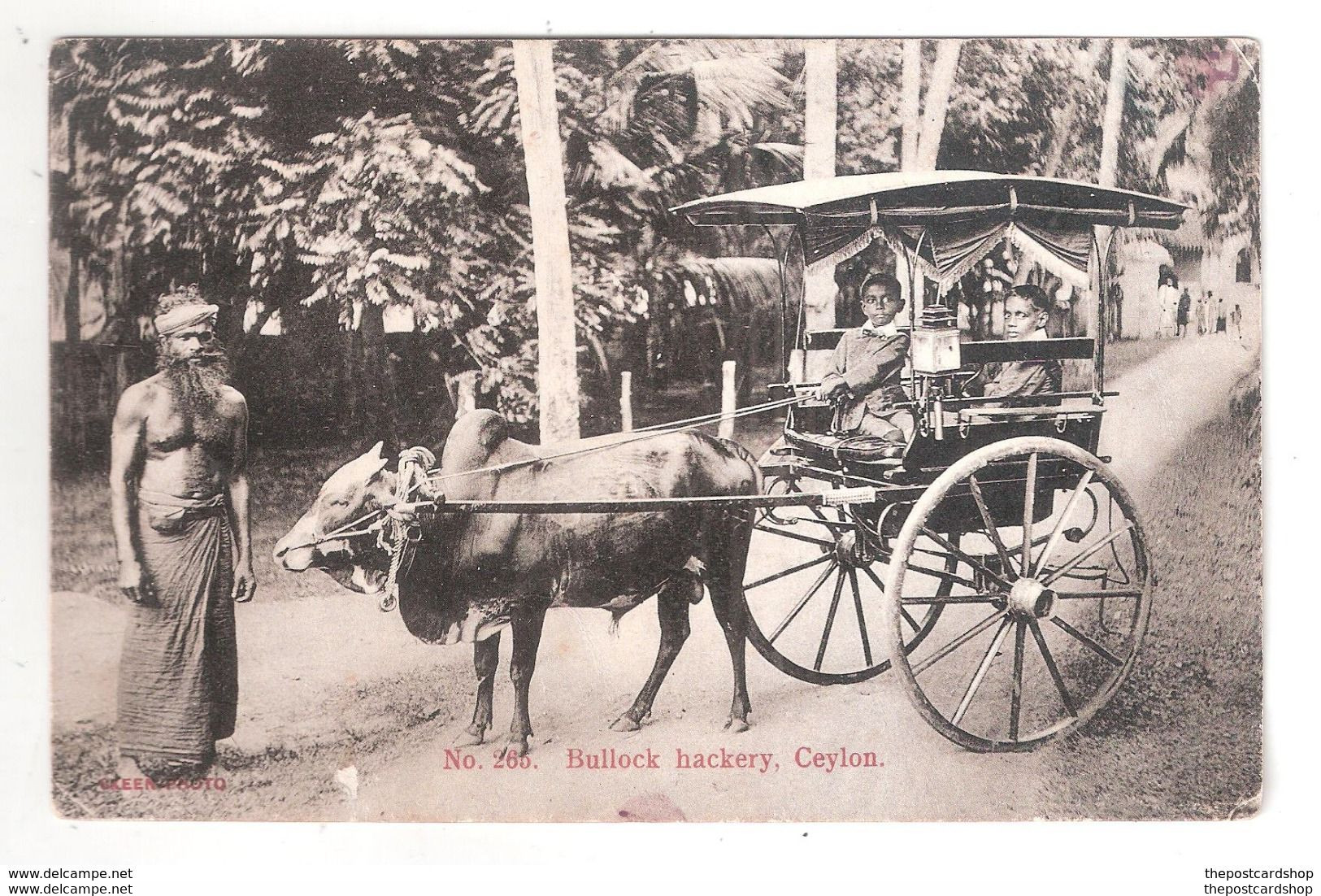 Ceylon - Bullock Hackery - Attelage - Animée - SKEEN-PHOTO - Sri Lanka (Ceylon)