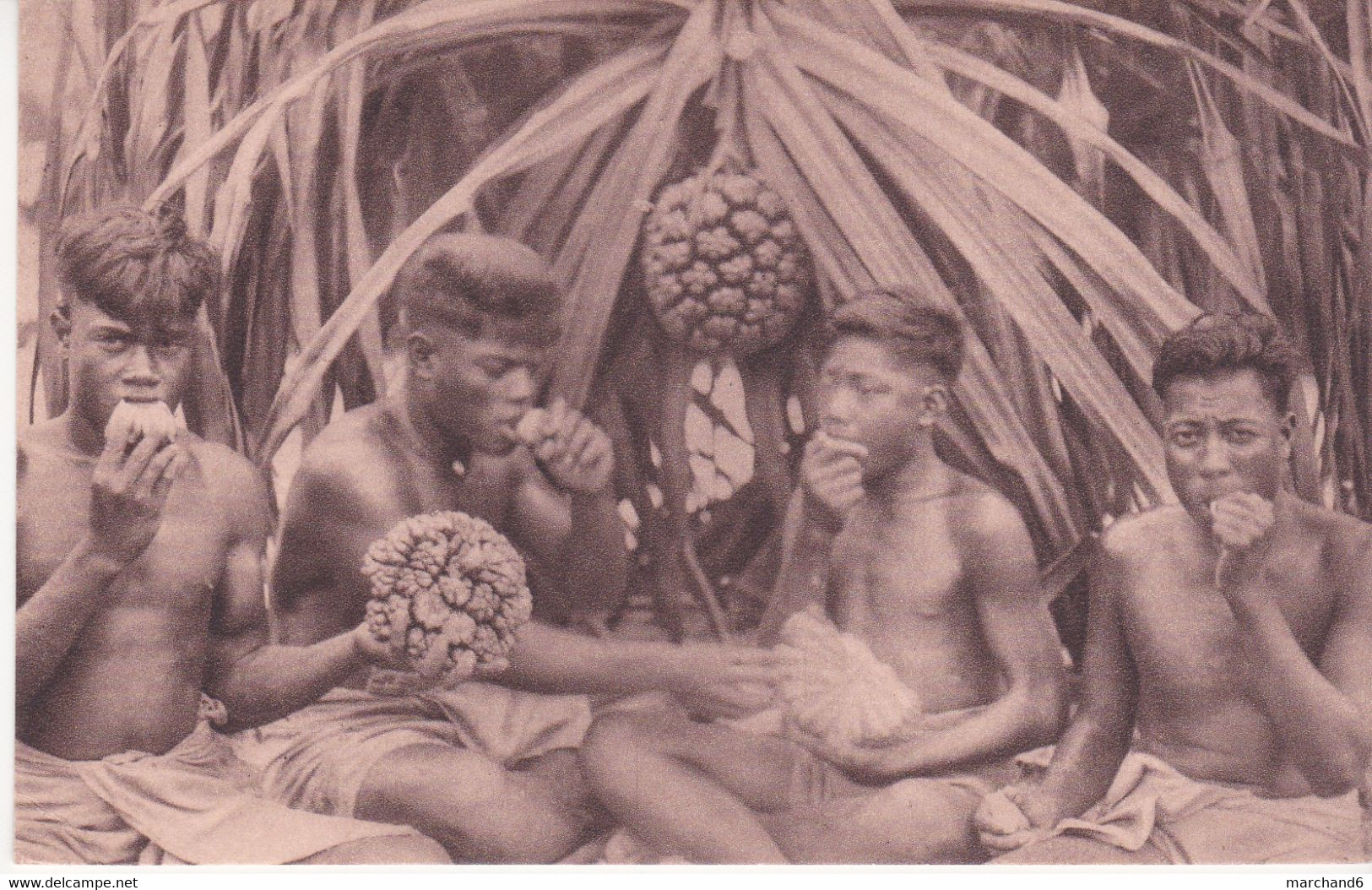 Océanie Samoa ?? Indigènes Mangeant Le Fruit Pandanus - Samoa