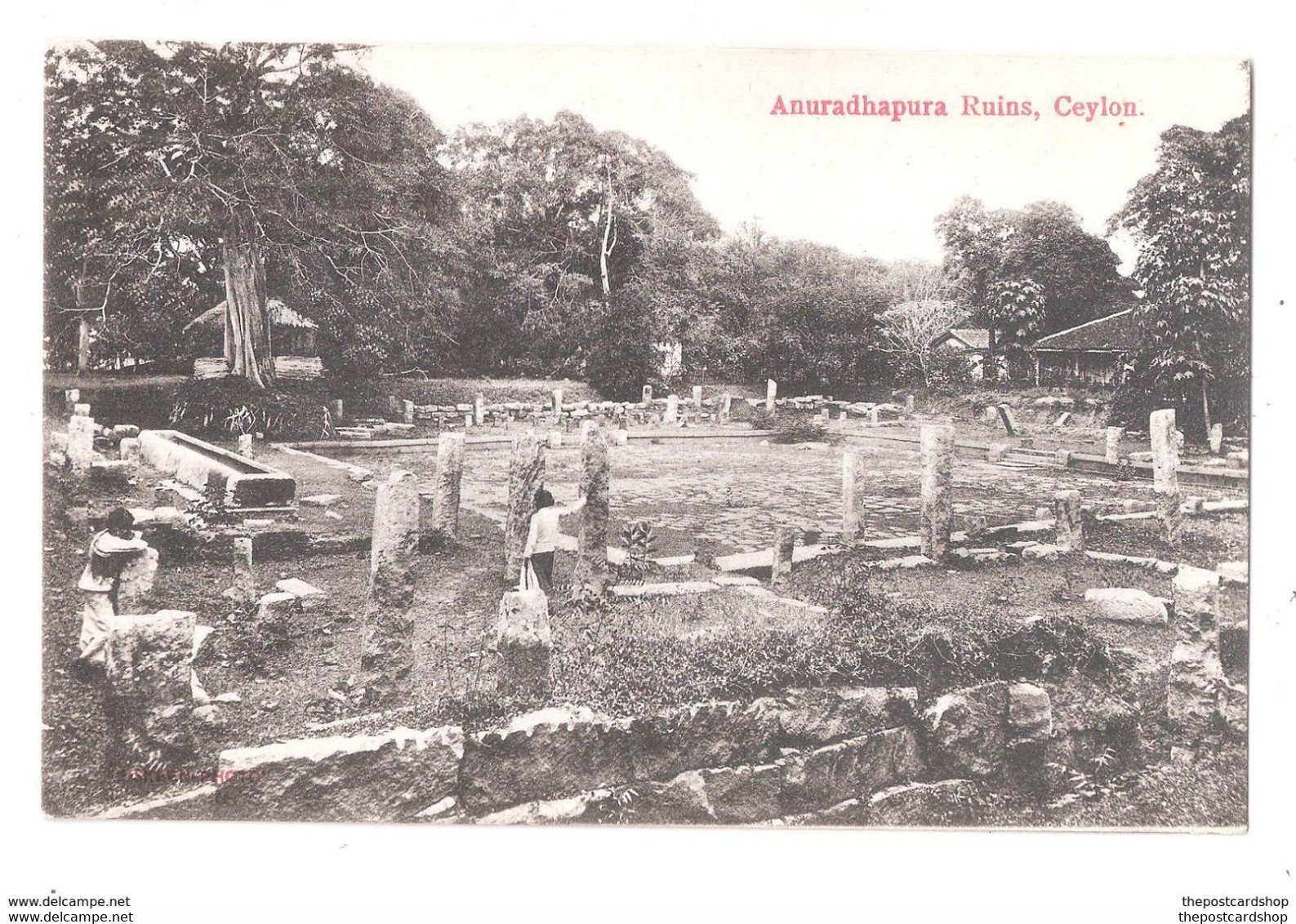 Ceylon ASIE - SRI LANKA - COLOMBO - Cinnamon Gardens - Sri Lanka (Ceylon)