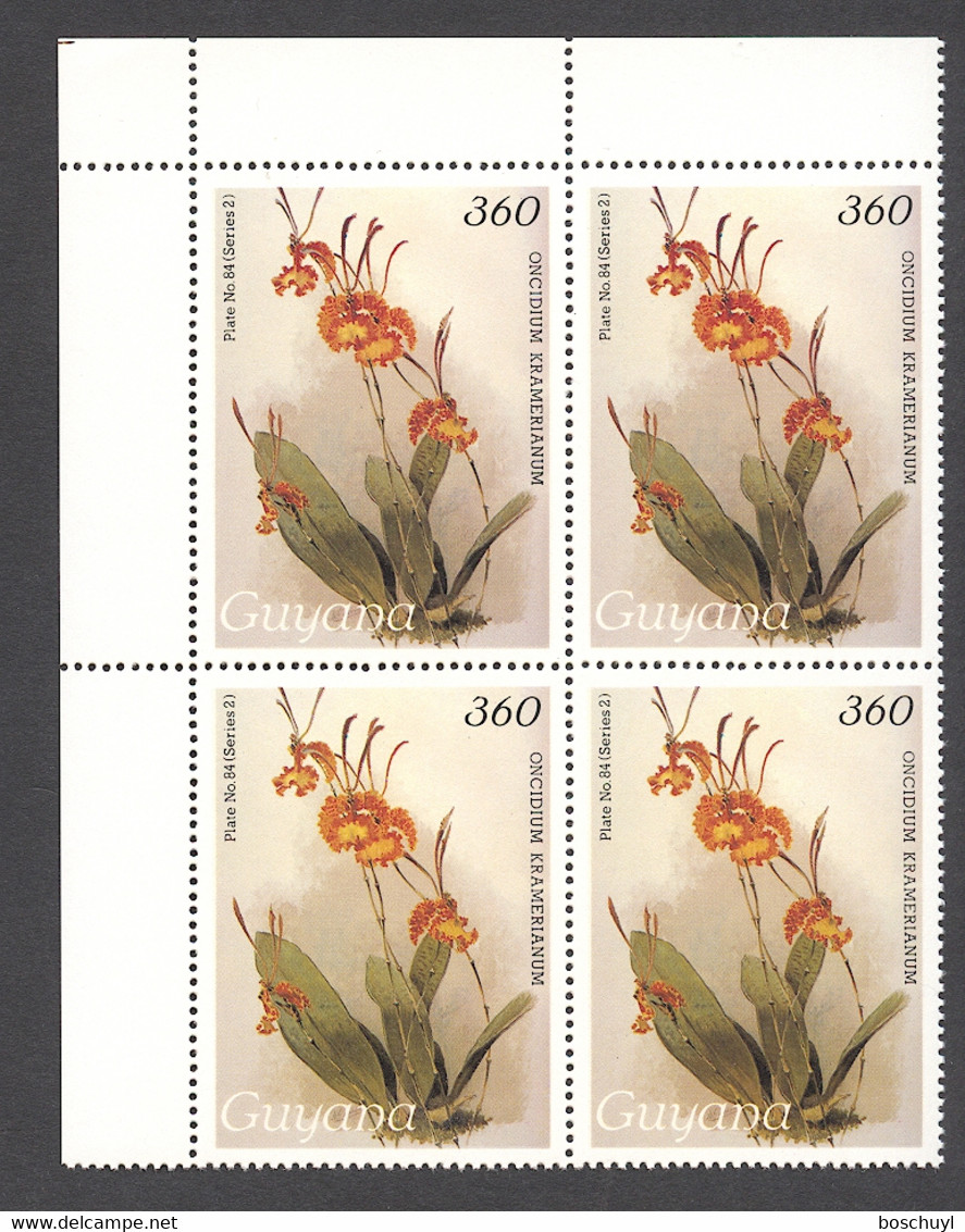 Guyana, 1988, Orchids, MNH Block, Michel 2241 - Guiana (1966-...)