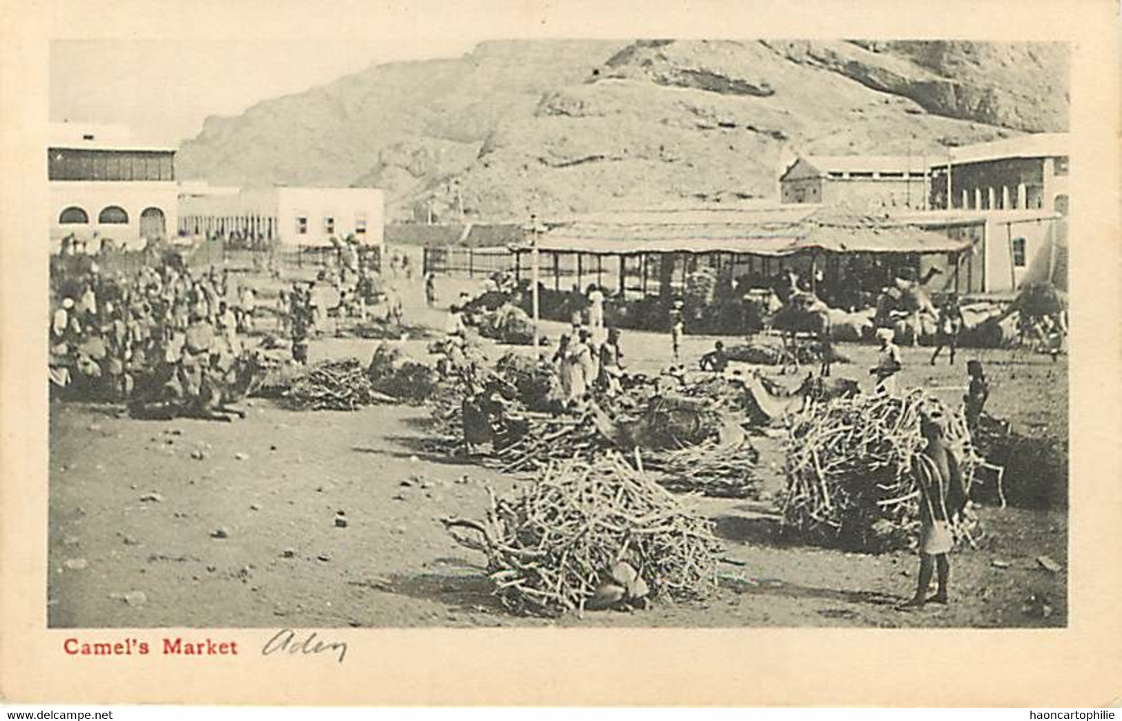 Aden  Camel 's Market - Jemen