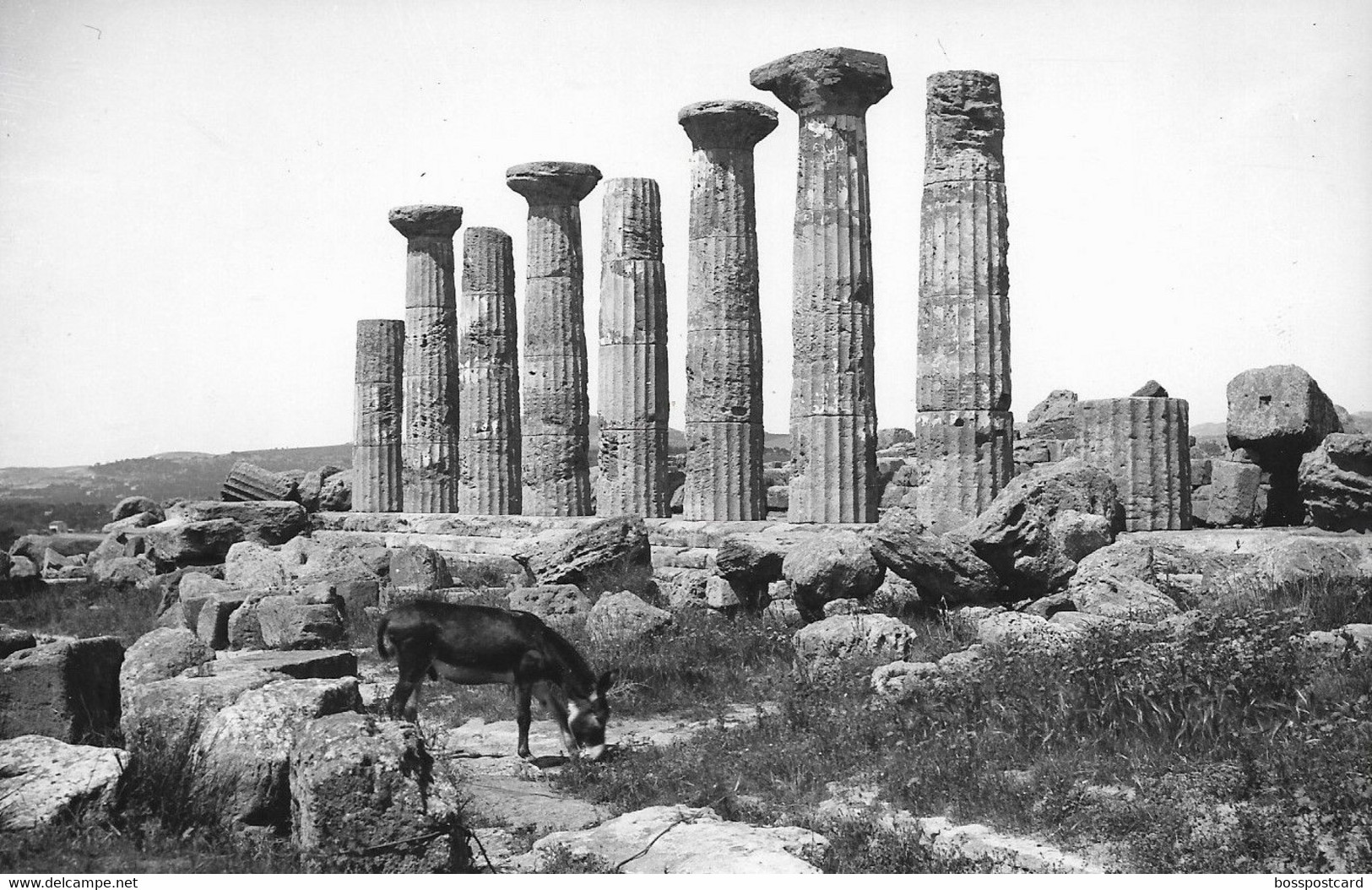 Agrigento - REAL PHOTO - Tempio Di Ercole - Sicilia - Italia - Agrigento