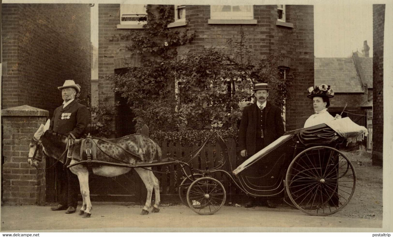 DORSET  BOURNEMOUTH  RPPC CART SOCIAL HISTORY ANE DONKEY EZEL ESEL MULES Donkeycollection - Andere & Zonder Classificatie