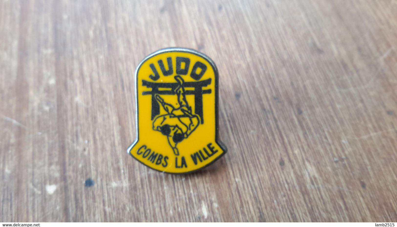 PINS  SPORT  JUDO  COMBS LA VILLE - Judo