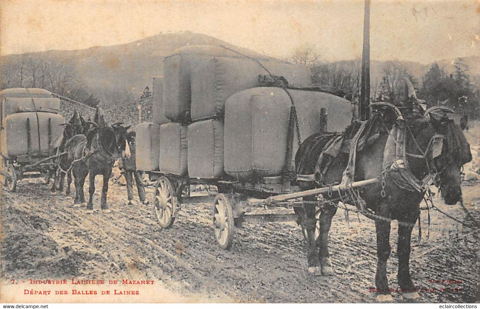 Mazamet            81     Industrie Lainière :     Départ Des Balles De Laine   N° 7    (voir Scan) - Mazamet