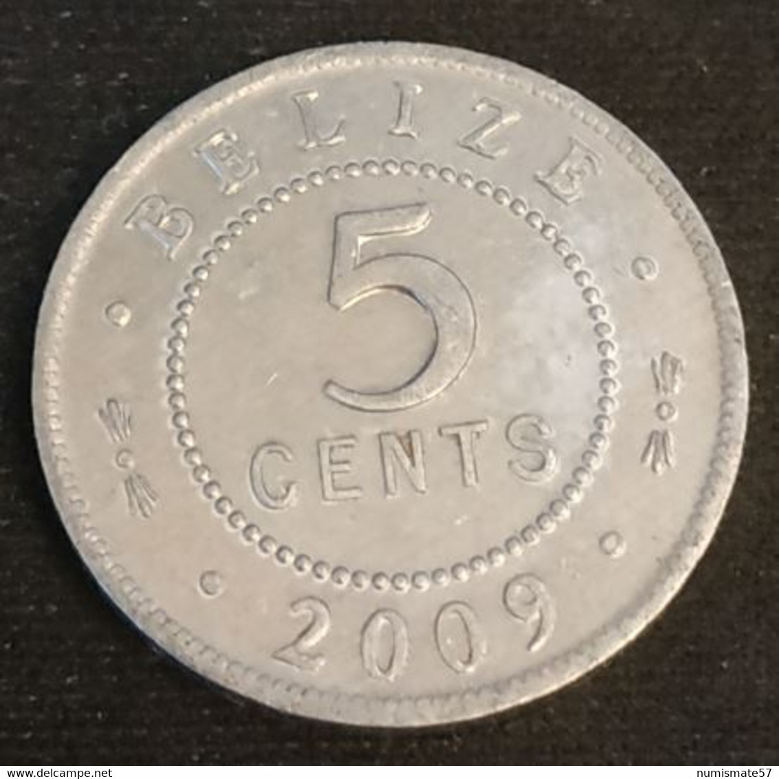 BELIZE - 5 CENTS 2009 - Elizabeth II - 1er Effigie - KM 34a - Belize