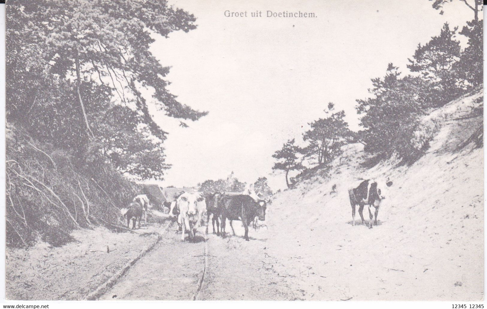 Doetinchem, Groet Uit (reprint) - Doetinchem