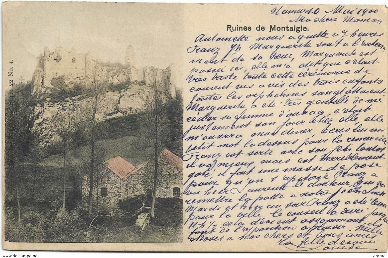 Ruines De Montaigle  *    (Nels, 22/4)  Namur Station 1900 à Bourg Léopold - Onhaye