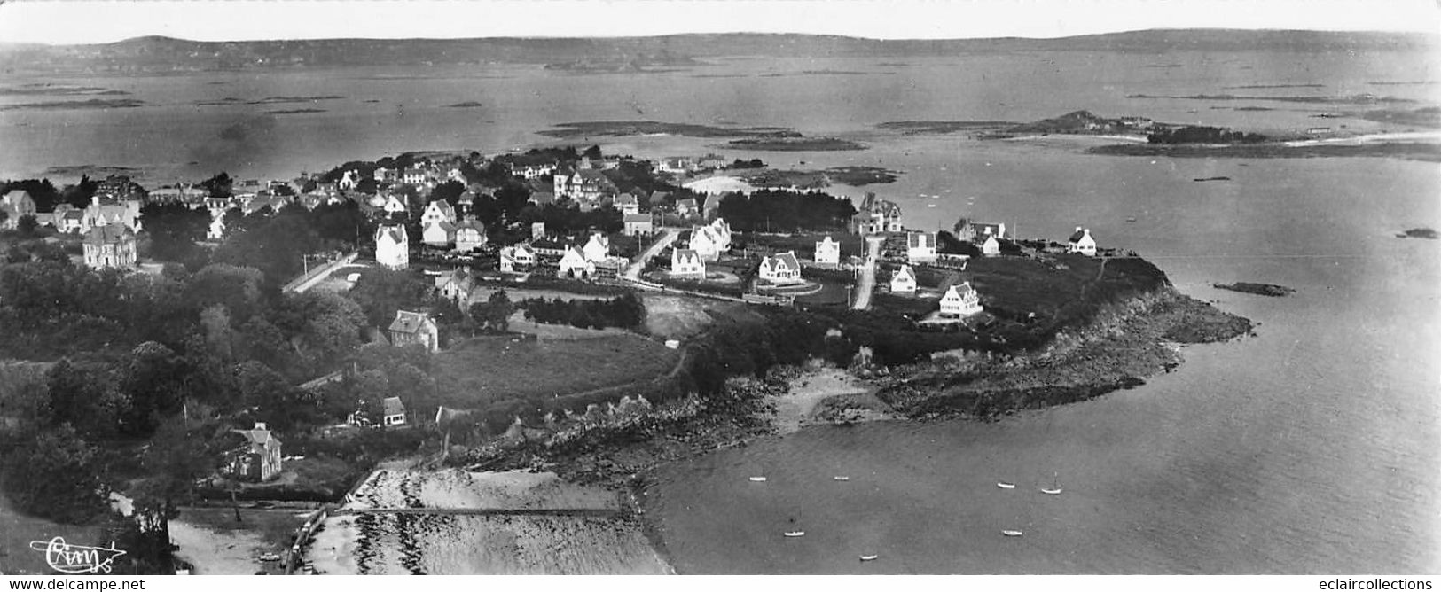 Carentec      29        Carte  Panoramique Vue Aérienne  De La Pointe        22.5 X 8.5   (voir Scan) - Carantec