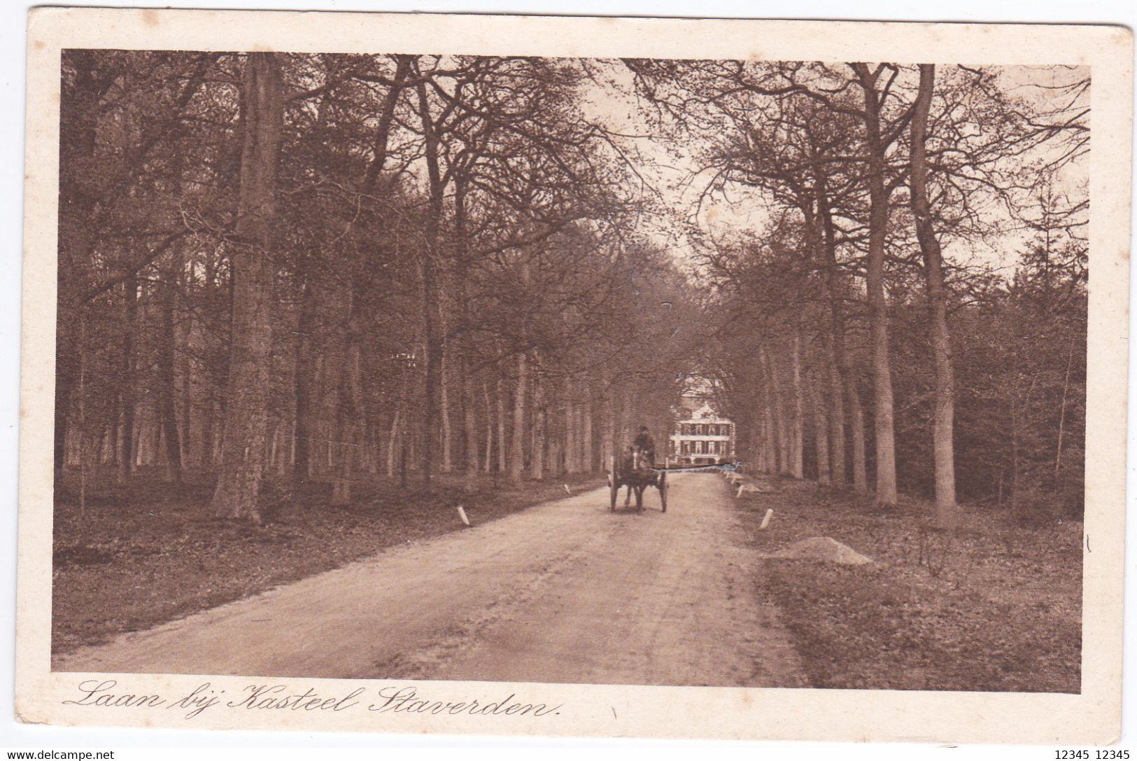 Laan Bij Kasteel Staverden - Ermelo