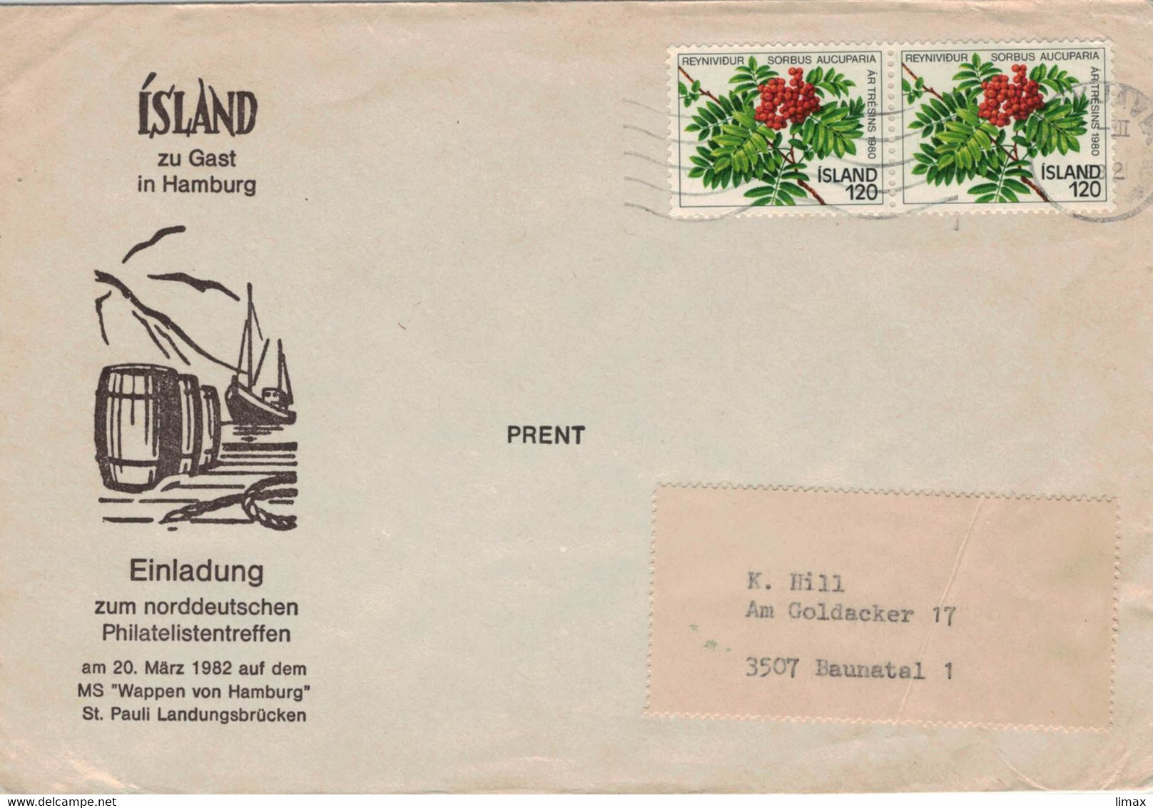 Island Reykjavík 1982 - Vogelbeere Sorbus Aucuparia [ungiftig!] - Illustriertes Kuvert - Lettres & Documents