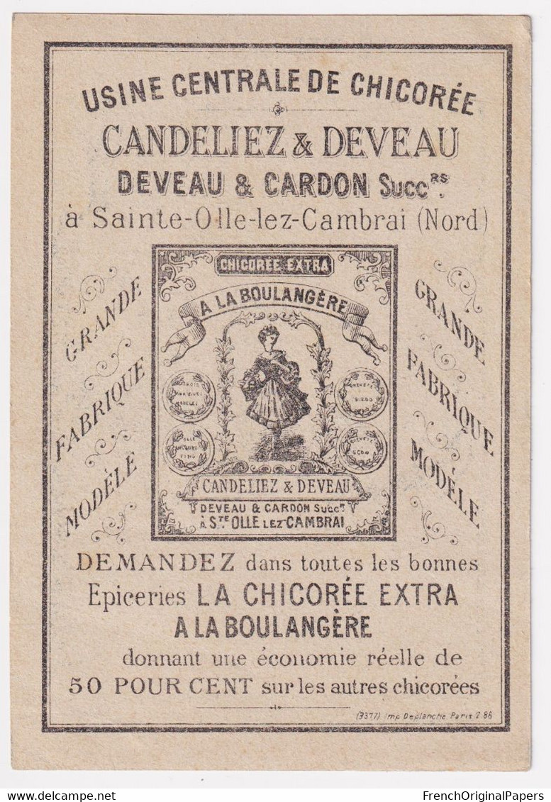 Chromo Gravure Image Devinette Chicorée Candeliez Imp. Deplanche Sainte Olle Lez Cambrai 1890 Pied De Mouton 47-14 - Té & Café