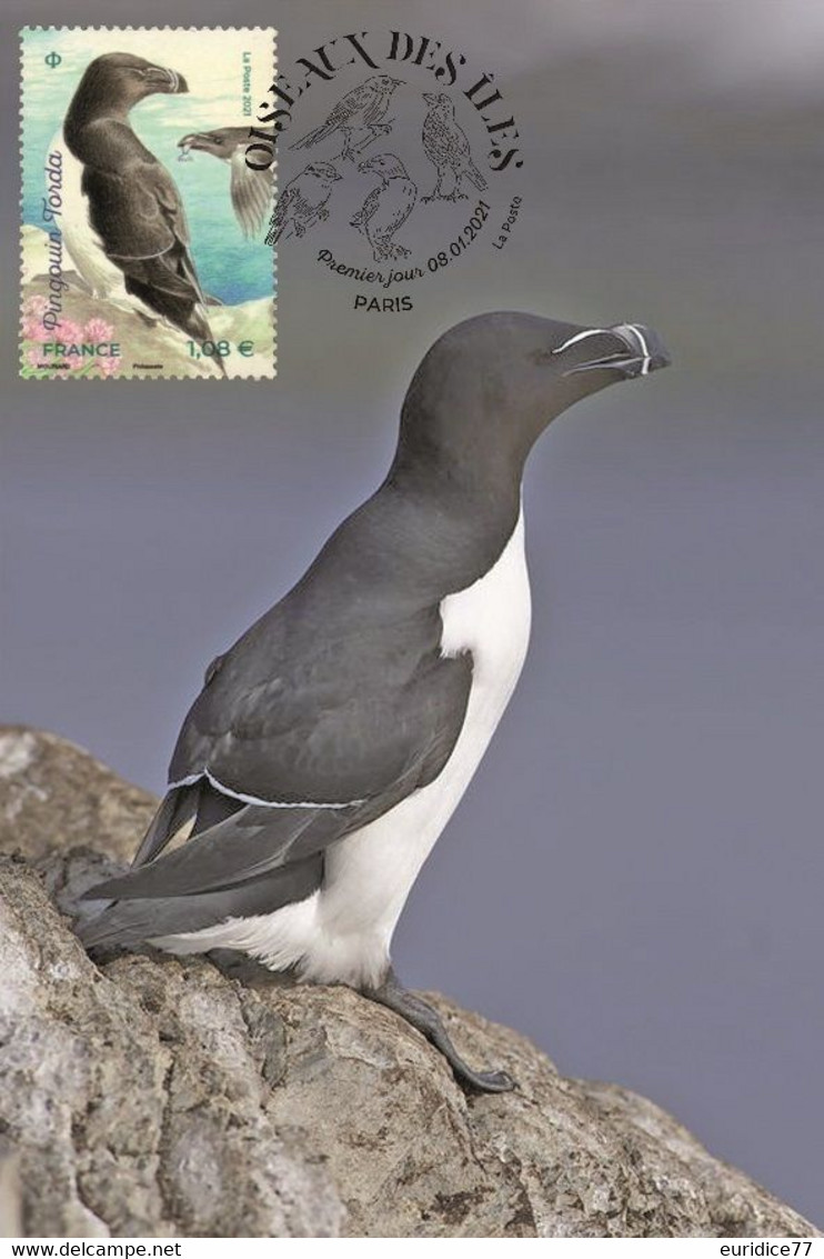 France 2021 - Oiseaux Des Iles Pingouins Torda Carte Maximum - 2020-…