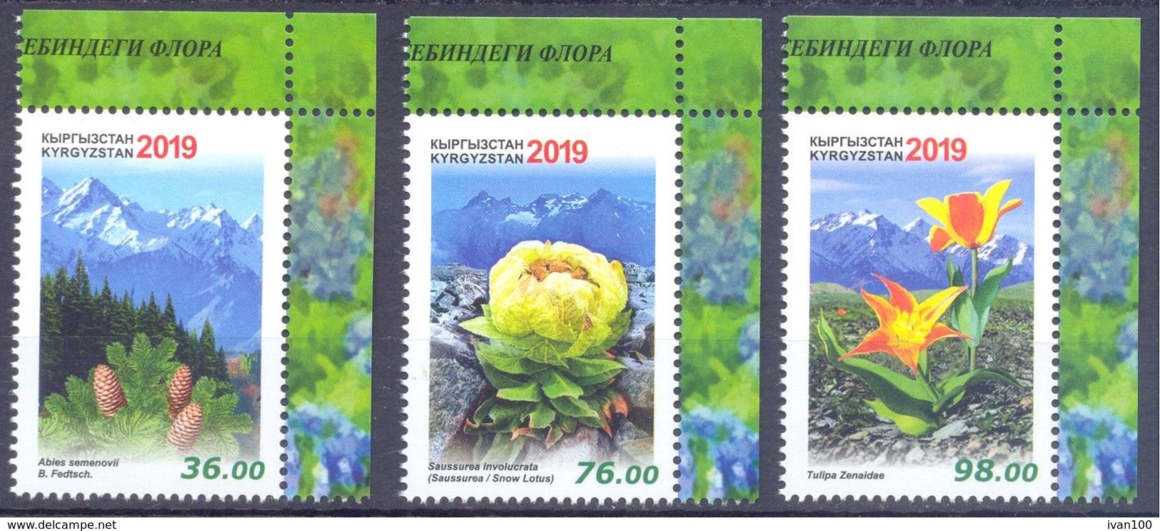 2019. Kyrgyzstan, Red Book, Flora Of Kyrgyzstan, 3v Perforated, Mint/** - Kirgisistan