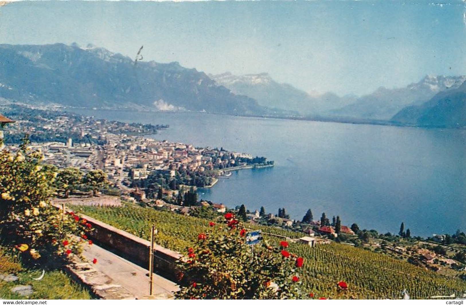 CPM- 21797-Suisse- Vevey Depuis Chardonne -Envoi Gratuit - Chardonne