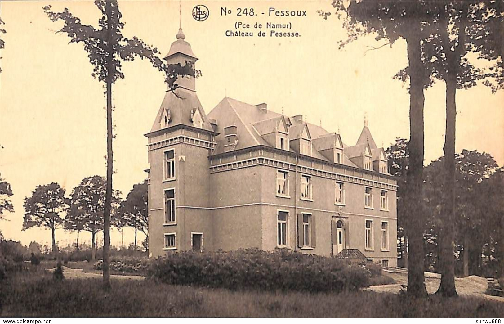 Pessoux - Château De Pesesse (Nels) - Ciney