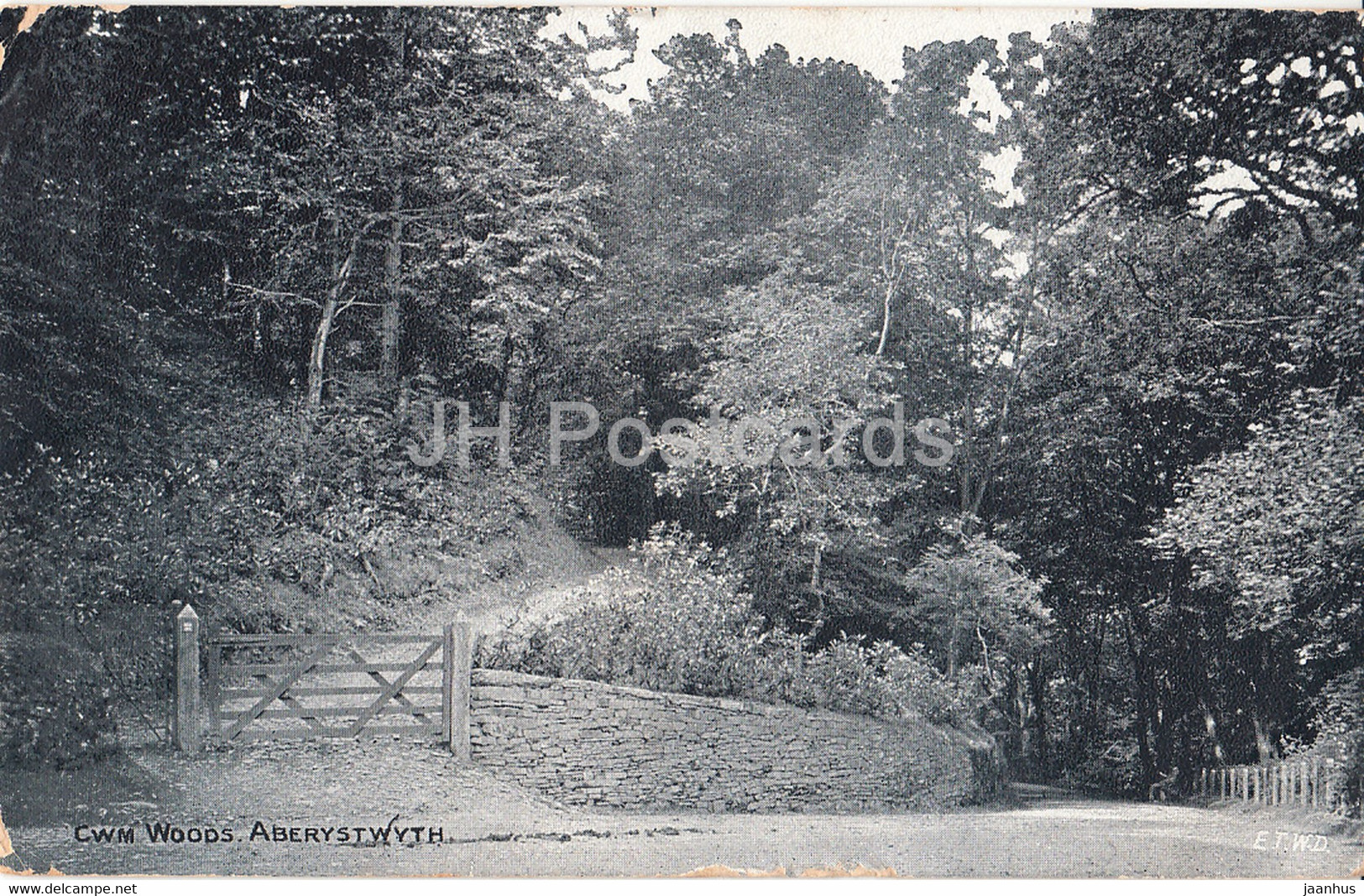 Aberystwyth - CWM Woods - Old Postcard - 1910 - Wales - United Kingdom - Used - Cardiganshire