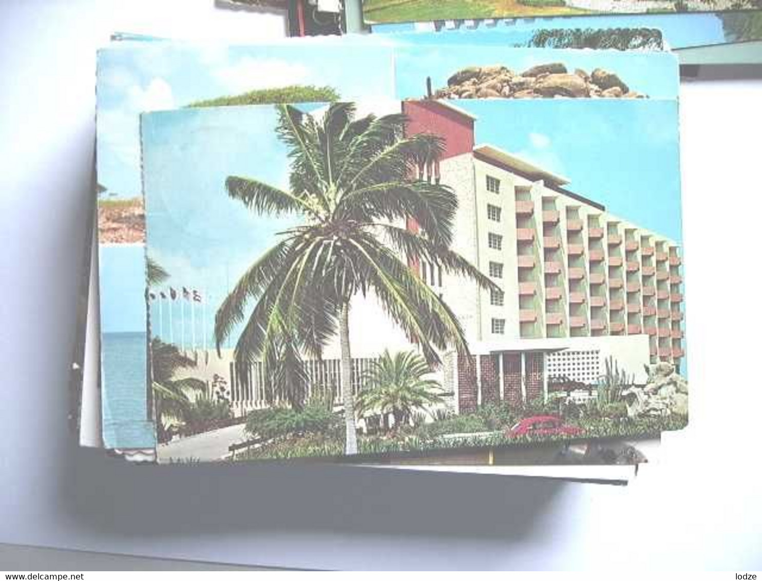 Aruba Palmboom Hotel - Aruba