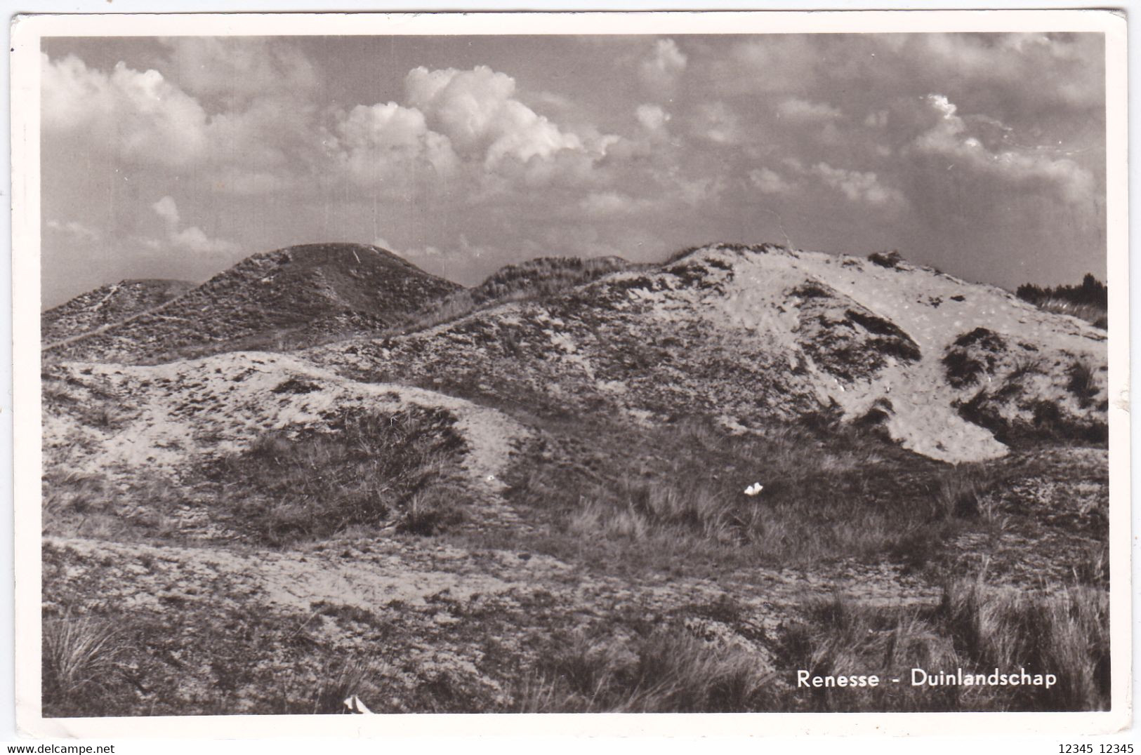 Renesse, Duinlandschap - Renesse