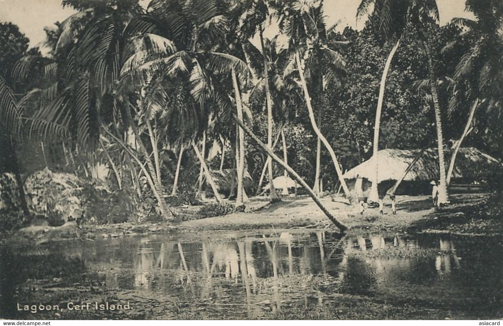 Seychelles Lagoon , Cerf  Island F. Vel Photographer Mahé - Seychellen