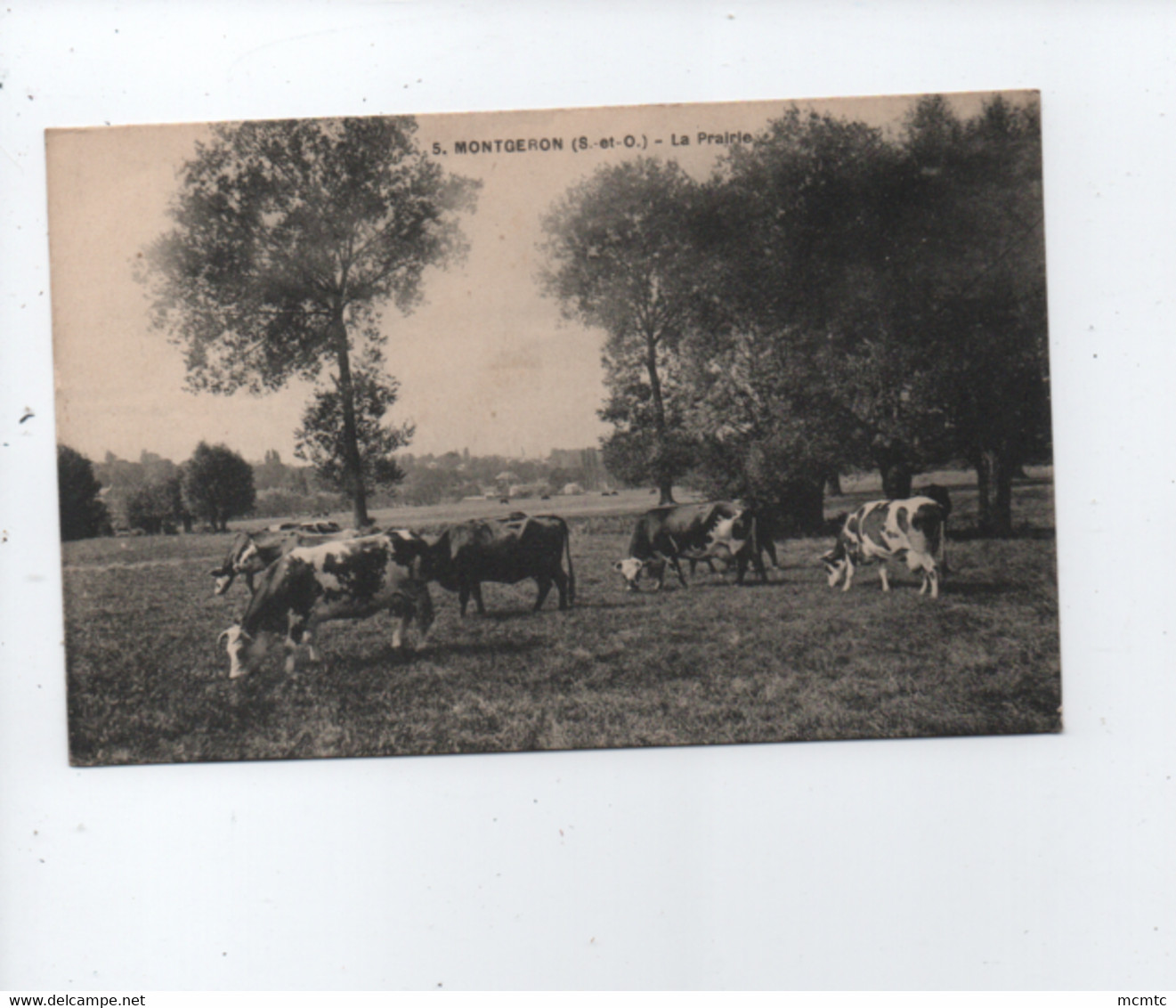 CPA -  Montgeron  -( S.-et-O.) - La Prairie  ( Vaches , Vache ) - Montgeron