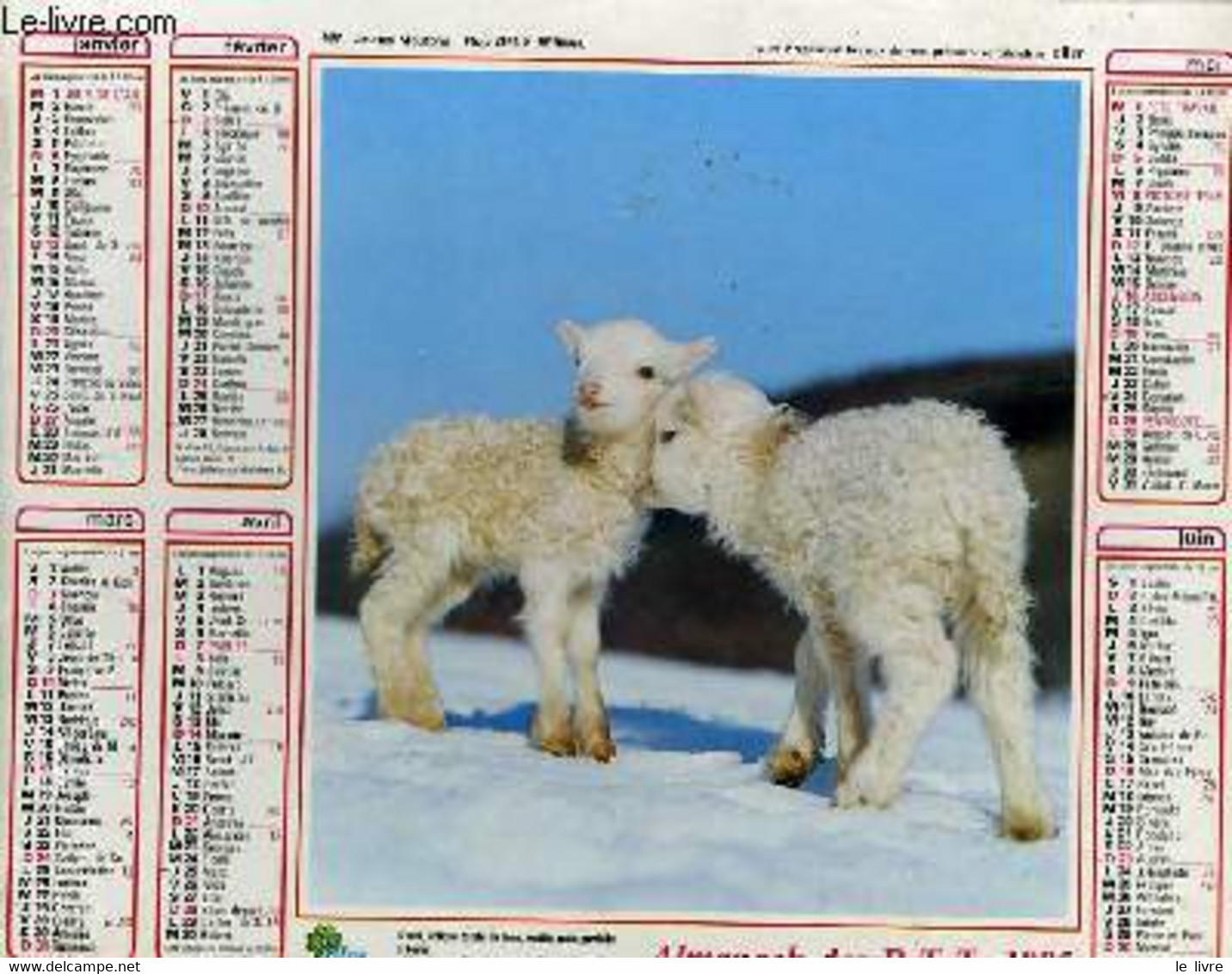 CALENDRIER - ALMANACH DES P.T.T. - JEUNES MOUTONS - FILLETTE ET CHIEN BLANC - COLLECTIF - 1985 - Agende Non Usate