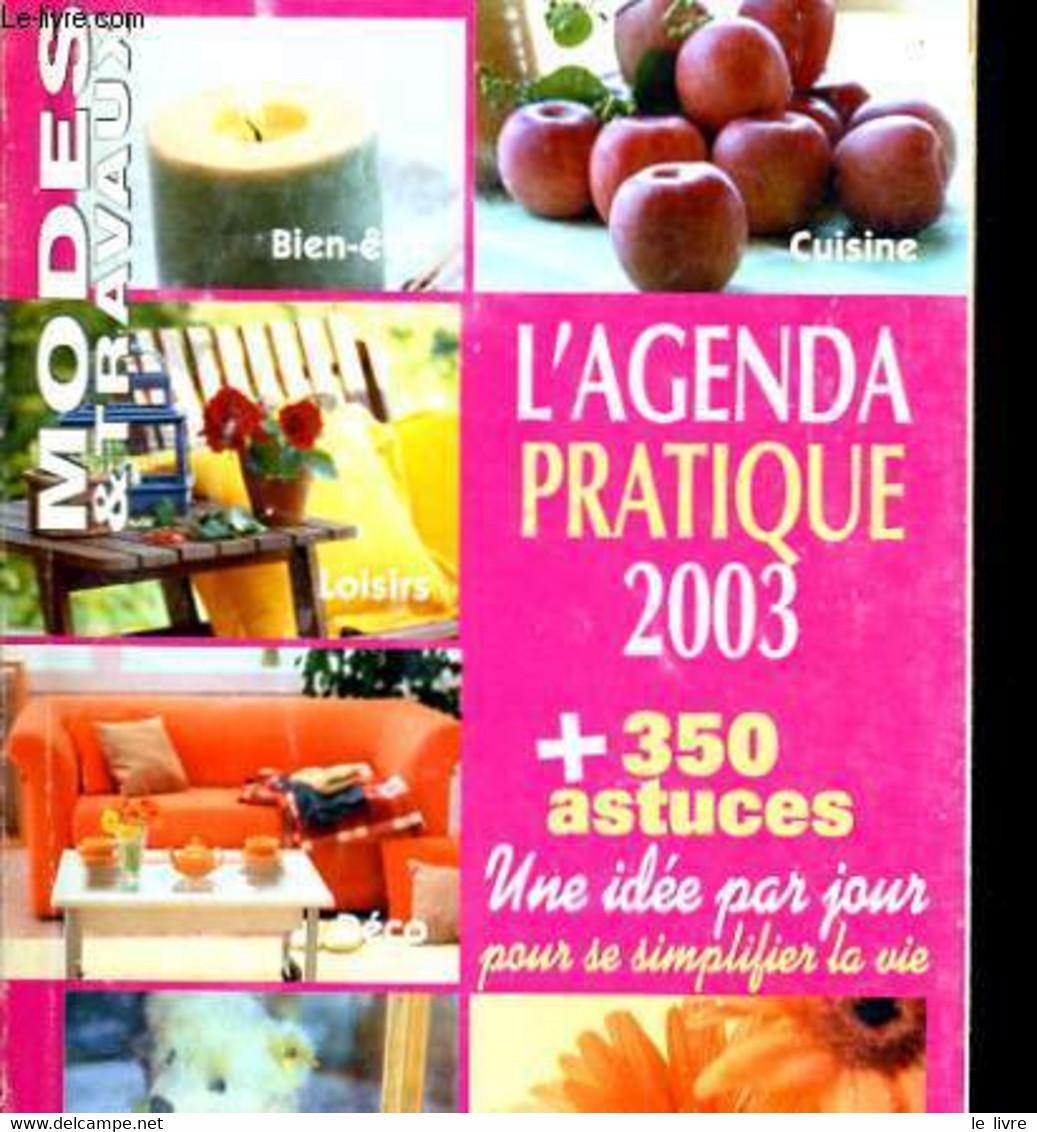 L'AGENDA PRATIQUE 2003 + 350 ASTUCES - COLLECTIF - 2003 - Blanco Agenda