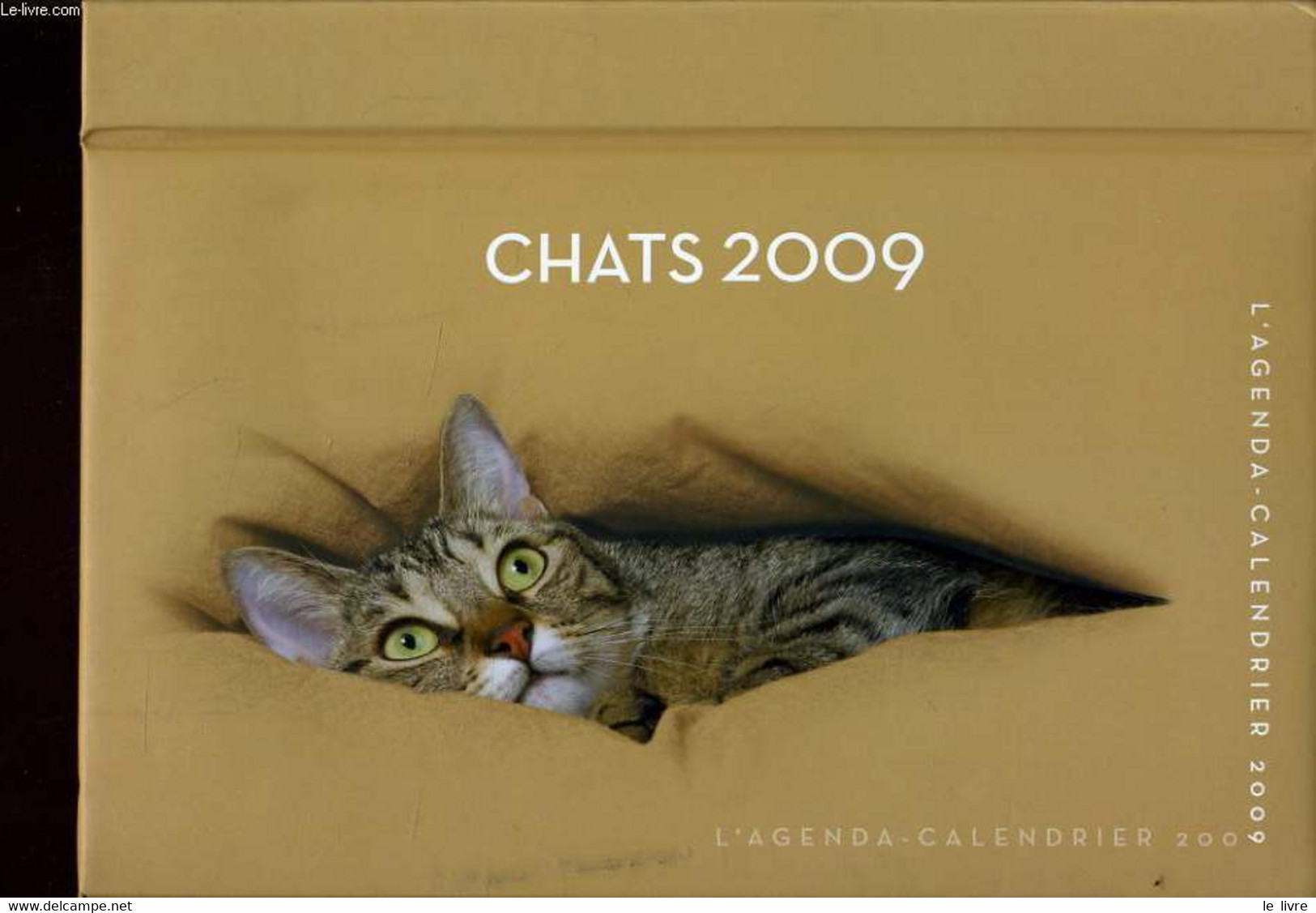 L'AGENDA CALENDRIER CHATS 2009 - JACQUELINE LASRY - 2008 - Agendas & Calendarios