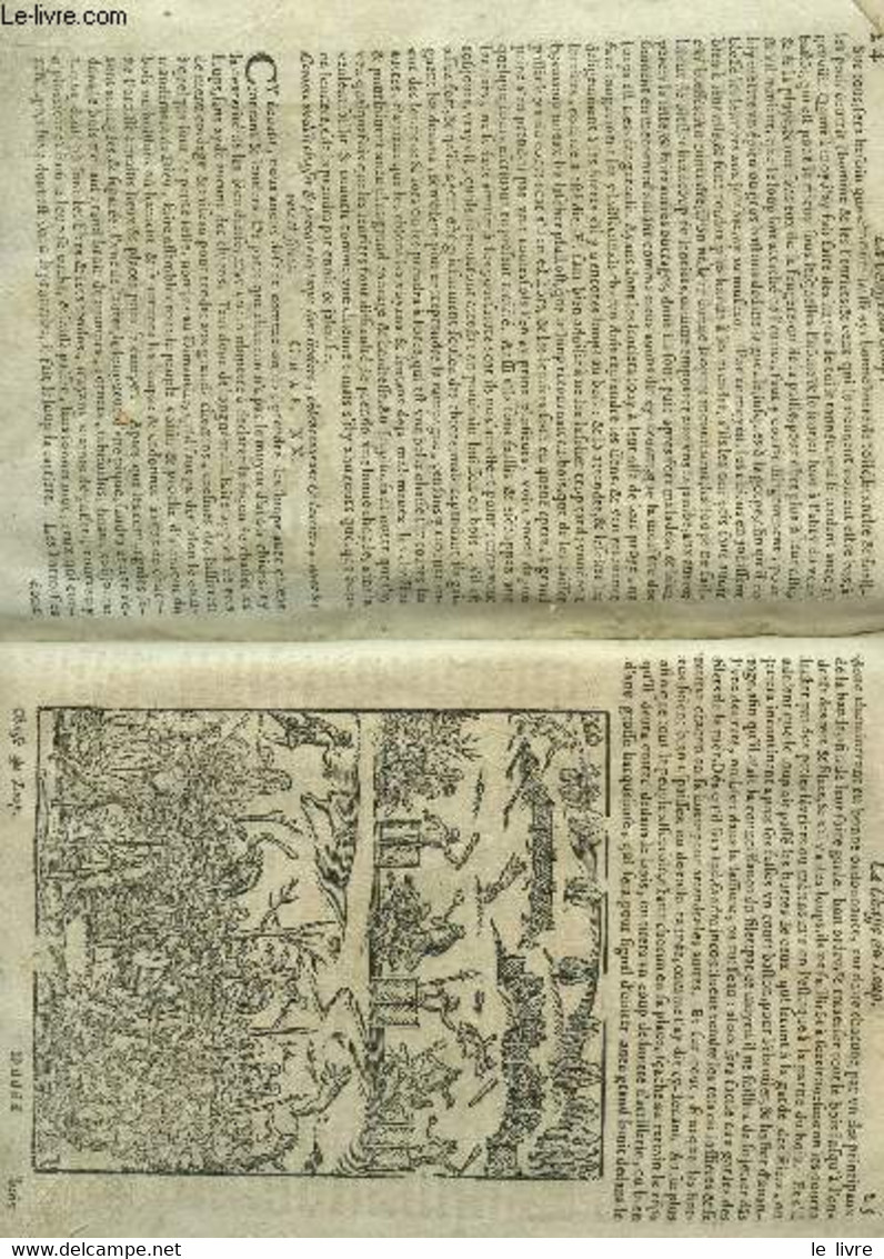 L'AGRICVLTVRE ET MAISON RVSTIQUE - L'AGRICULURE ET MAISON RUSTIQUE - AVEC UN BREF RECUEIL DES CHASSES DU CERF, DU SANGLI - Tot De 18de Eeuw