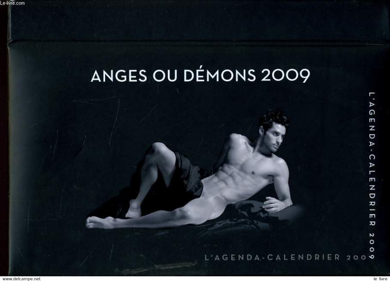 L'AGENDA CALENDRIER ANGES OU DEMONS 2009 - JACQUELINE LASRY - 2008 - Agende & Calendari