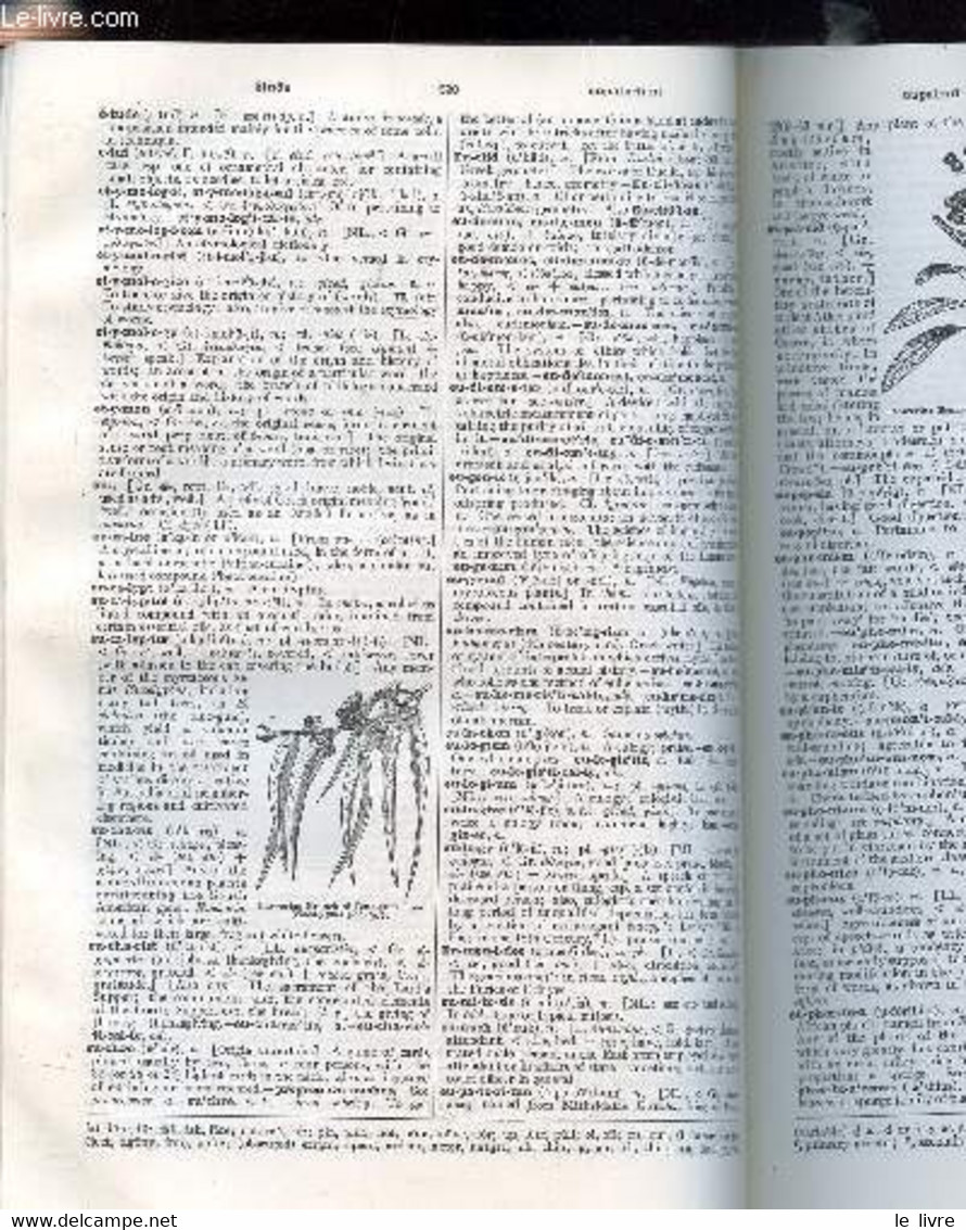 THE NEW CENTURY DICTIONARY OF THE ENGLISH LANGUAGE - VOLUME ONE & TWO - A - POCKET VETO / POCK-MARK - ZYMURGY AND SUPPLE - Dictionnaires, Thésaurus