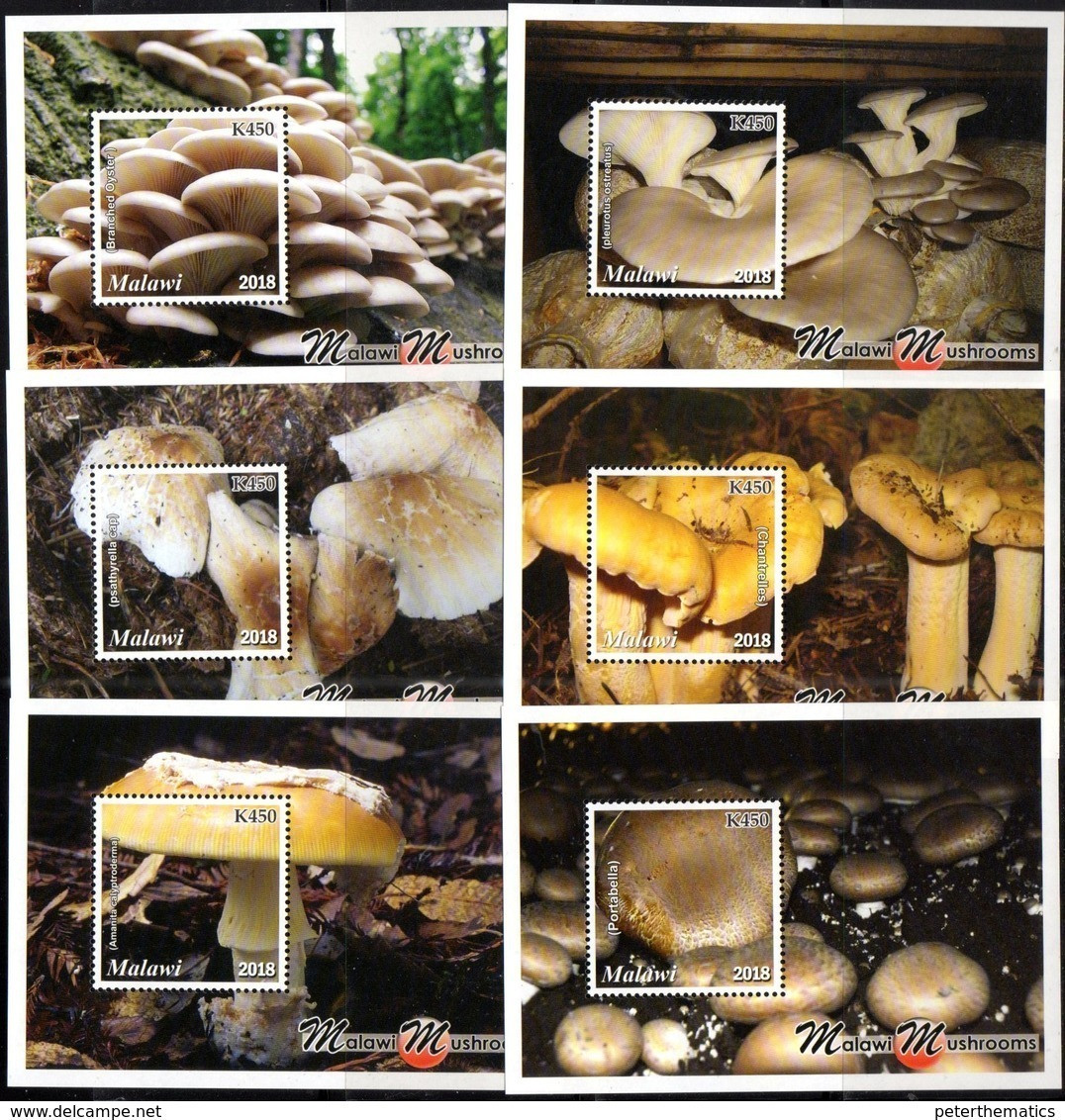 MALAWI, 2018, MNH, MUSHROOMS, SHEETLET+ 6 S/SHEETS - Mushrooms