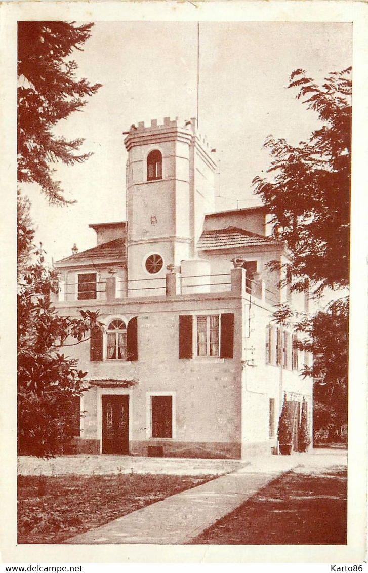 Contes Les Pins * Maison De Repos LE CHATEAU Château - Contes