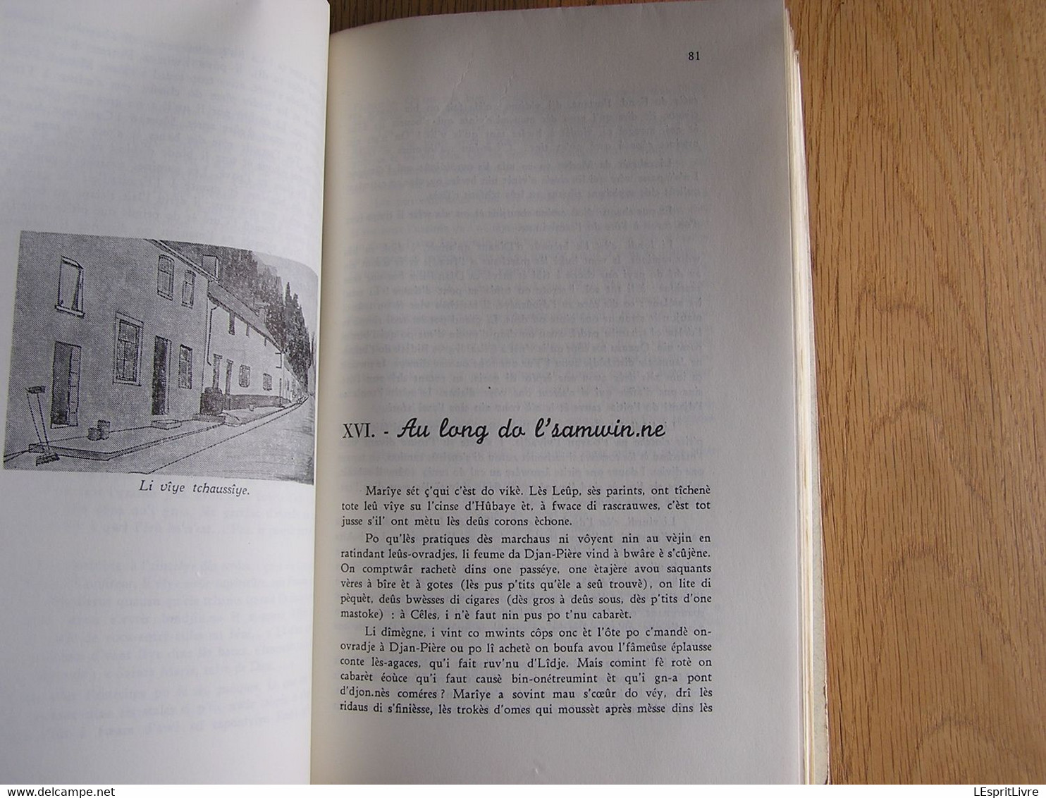 LI VICAÎRÎYE D' ON GAMIN D' CÊLES Houziaux 1964 Régionalisme Wallonie Celles Auteur Belge Dialecte Patois Parler Wallon