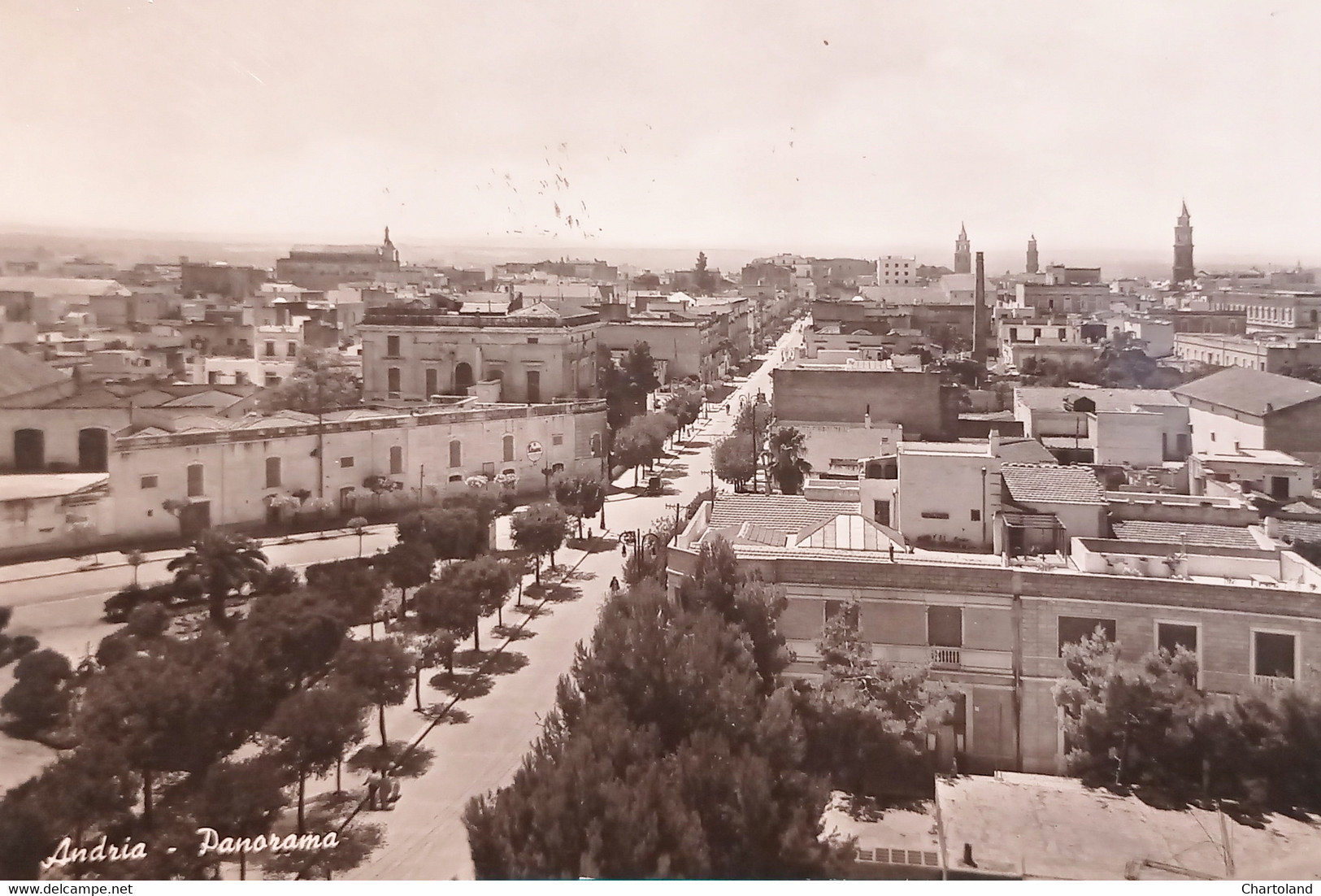 Cartolina - Andria ( Bari ) - Panorama - 1956 - Bari