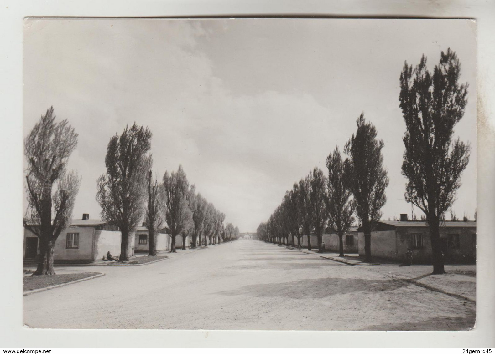 CPSM DACHAU (Allemagne-Bavière) - Rue Principale Dans Le Camp - Dachau