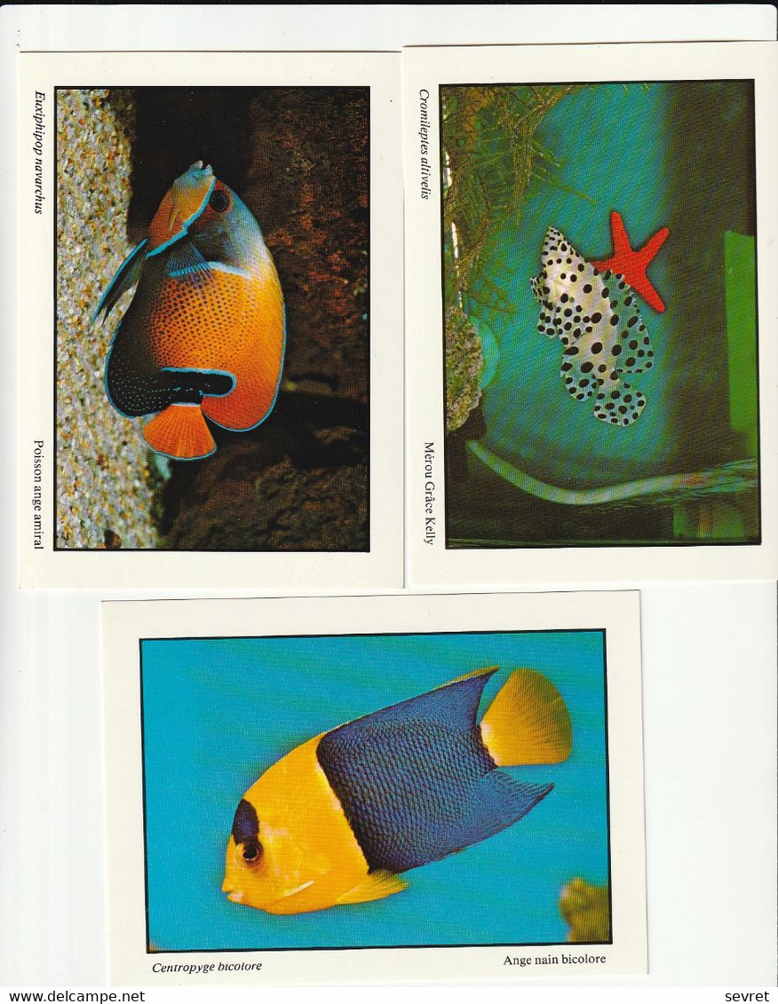 Série Complète De 12 Cartes POISSONS CORALLIENS - Extrait Du Livre "Le Monde Marin à Domicile" De J. Heidmann - Fish & Shellfish