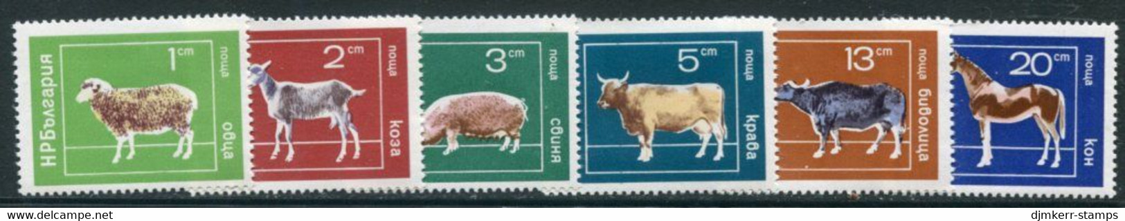BULGARIA 1974 Domestic Livestock MNH / **.  Michel 2319-24 - Unused Stamps
