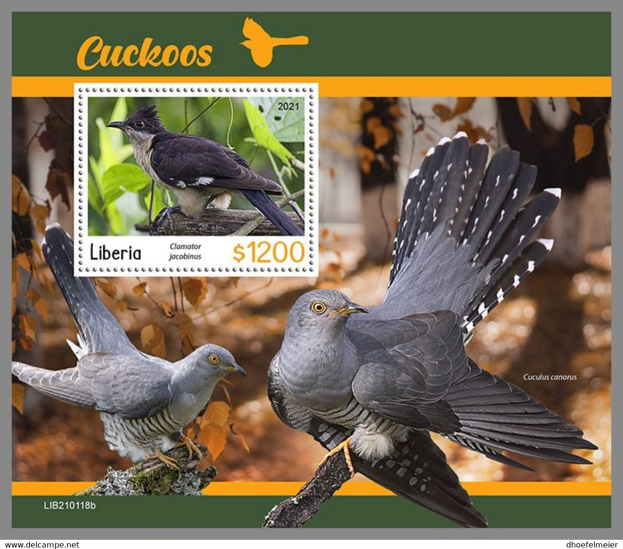 LIBERIA 2021 MNH Cuckoos Kuckuck Coucous S/S - OFFICIAL ISSUE - DHQ2113 - Coucous, Touracos