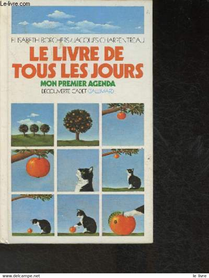 Le Livre De Tous Les Jours- Des Vacances, Des Anniversaires Et Des Fêtes. - Borchers Elisabeth, Charpentreau Jacques - 1 - Agenda Vírgenes