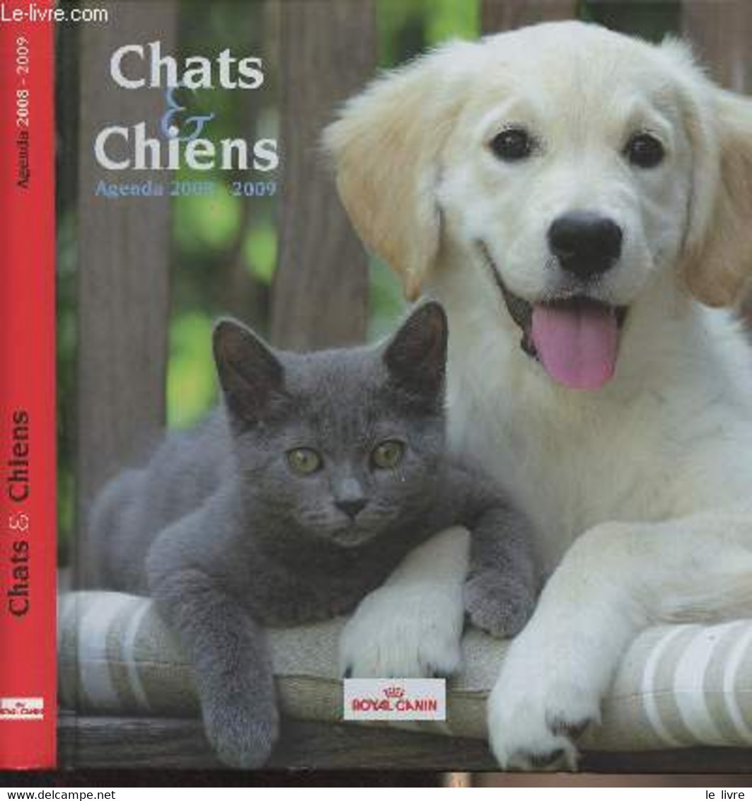 Chats & Chiens - Agenda 2008-2009 - Collectif - 2008 - Agendas Vierges