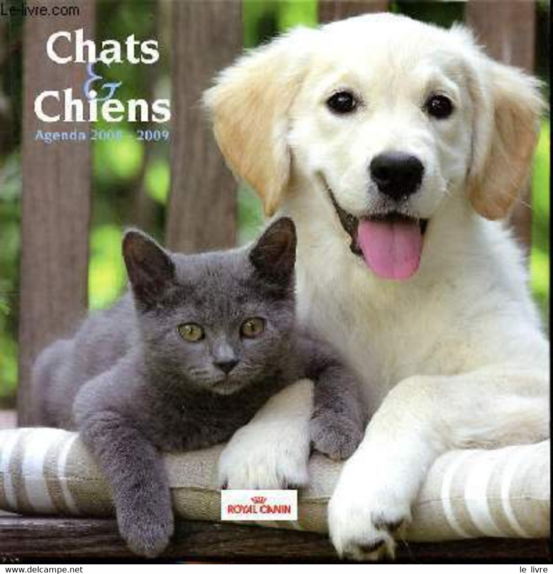 Chiens Et Chats Agenda 2008-2009 - Collectif - 2008 - Blank Diaries