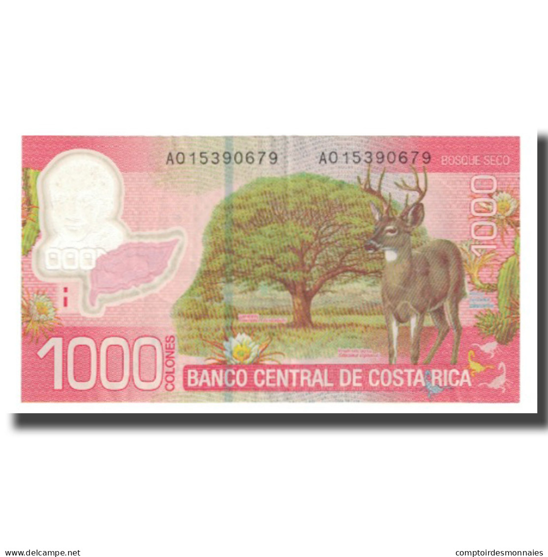 Billet, Costa Rica, 1000 Colones, 2009, 2009-09-02, KM:274, TTB - Costa Rica