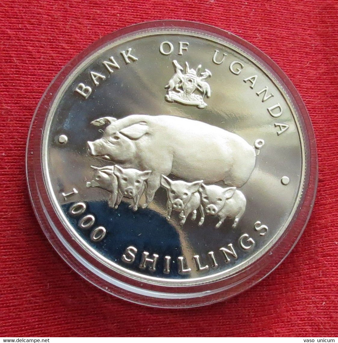 Uganda 1000 Shilling 1995  Pig - Uganda