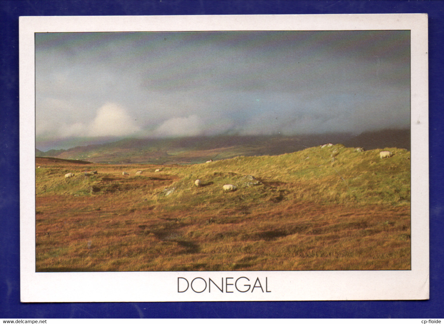 IRLANDE . IRELAND . DONEGAL - Réf. N°29582 - - Donegal