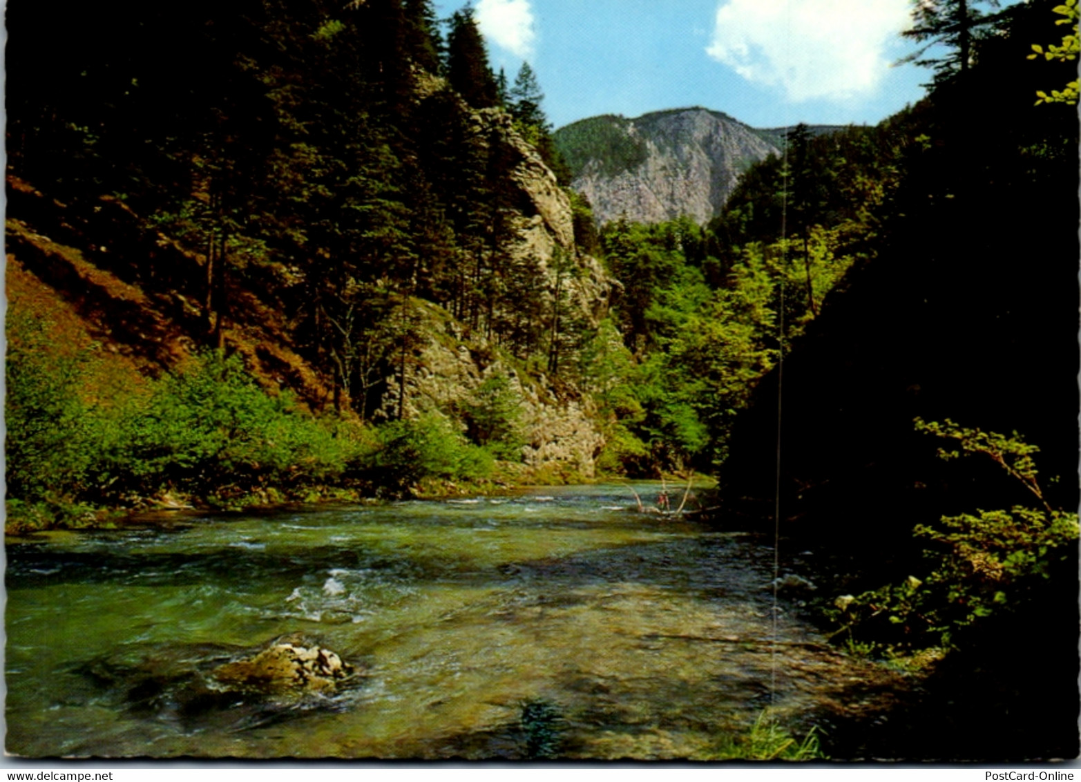 7853 - Niederösterreich - Höllental , Blick Gegen Die Rax - Gelaufen 1972 - Raxgebiet