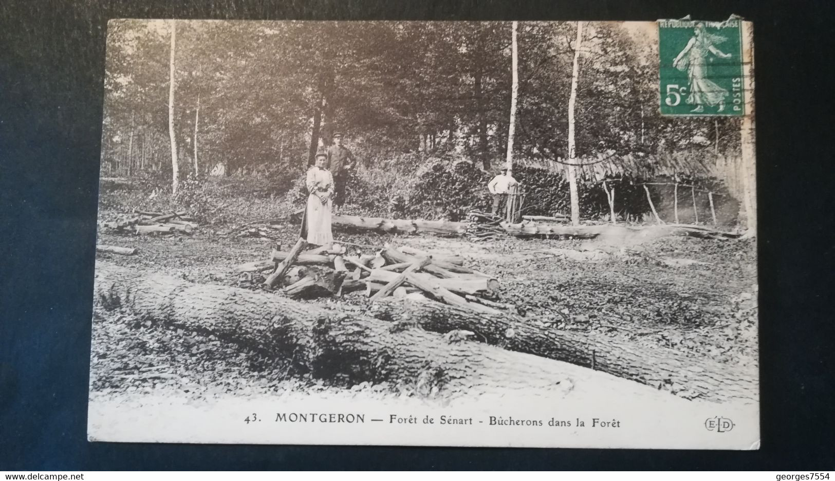 91 -MONTGERON - FORET DE SENART -BUCHERONS EN FORET - Montgeron