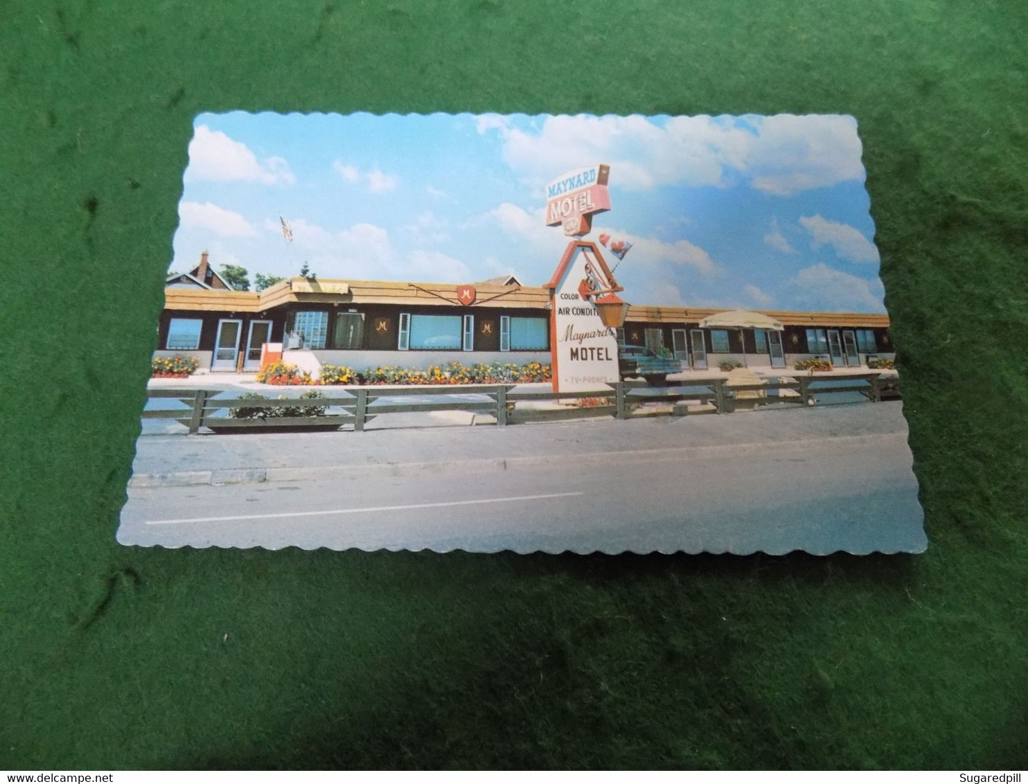 VINTAGE CANADA: MOOSE JAW SASK Maynard Motel Colour Excelo - Autres & Non Classés