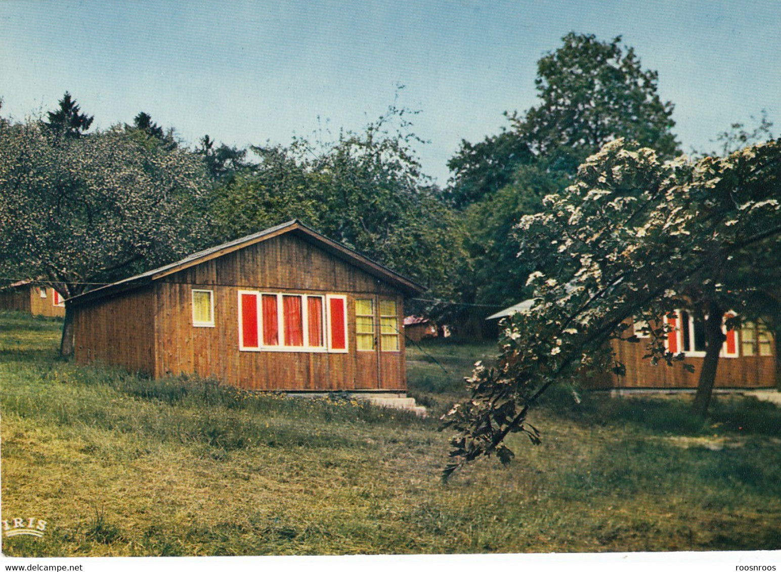 CP OTEPPE BELGIQUE - CENTRE DE VACANCES L'HIRONDELLE - LES CHALETS - Burdinne