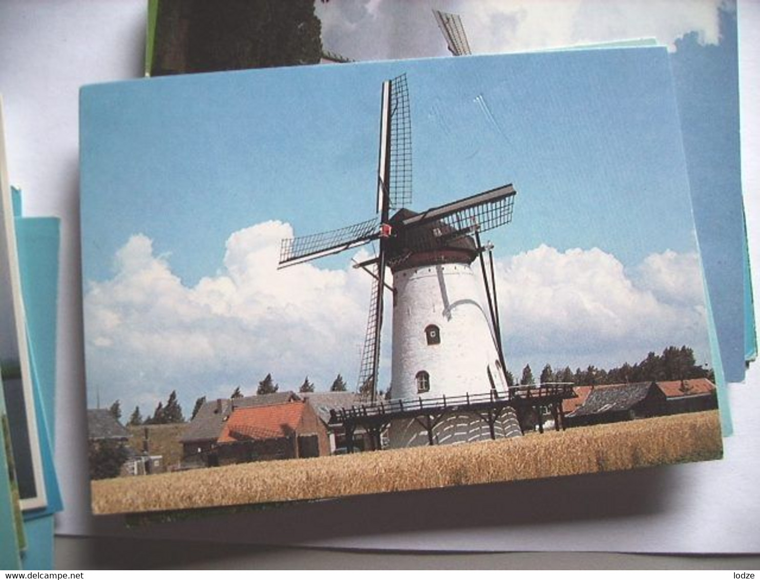 Nederland Holland Pays Bas Tholen Met Ronde Witte Molen En Omgeving - Tholen